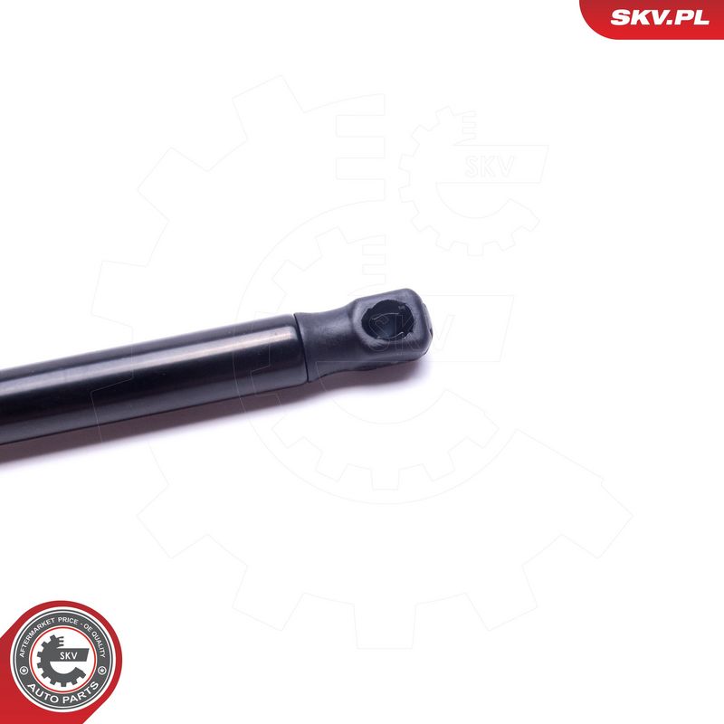 Gaasivedru, pagasi-, veoruum, ESEN SKV 52SKV576