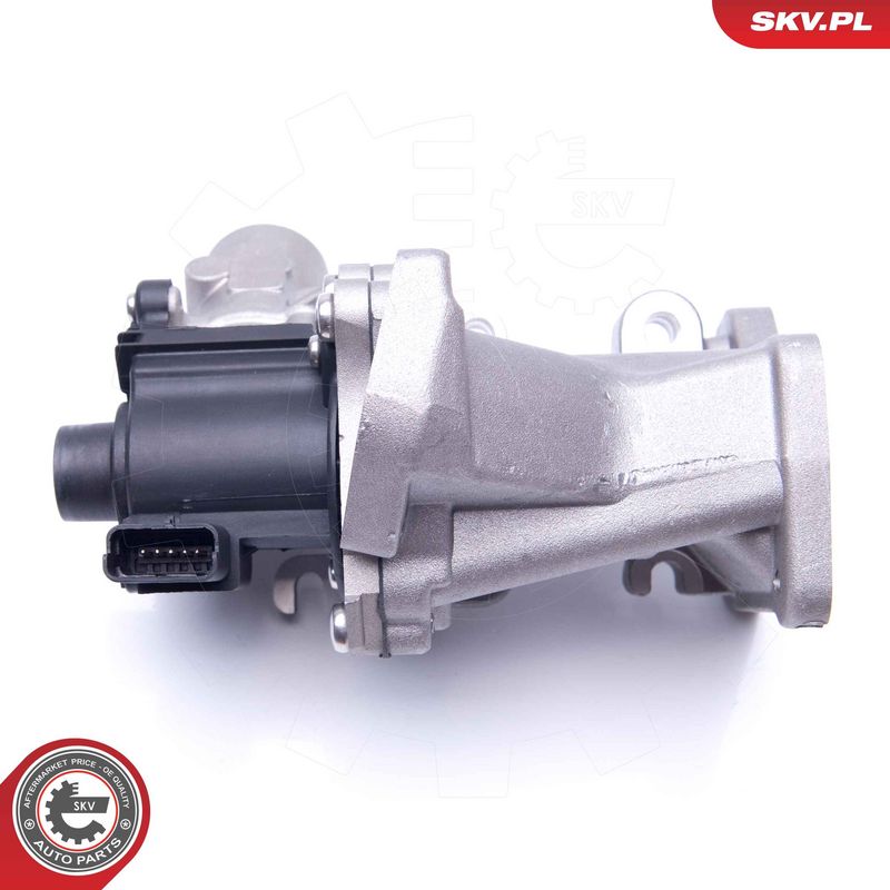 EGR-klapp, ESEN SKV 14SKV171