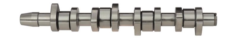 Вал розподільчий AE CAM904 на VW CADDY III фургон (2KA, 2KH, 2CA, 2CH)