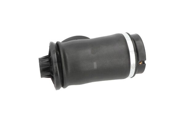 Kavo Parts SAS-10006 Air Spring, suspension