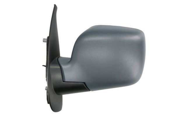 BLIC 5402-04-1121563P Exterior Mirror