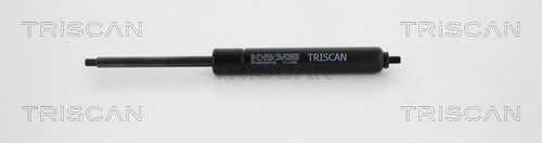 TRIS8710819207100.JPG