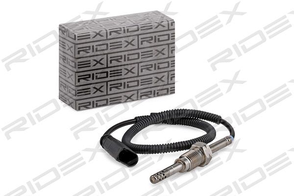 13627651_791.JPG