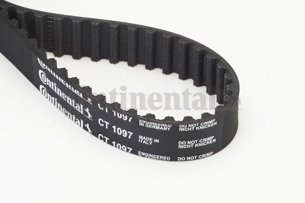 BELTPIC_CT1097.JPG
