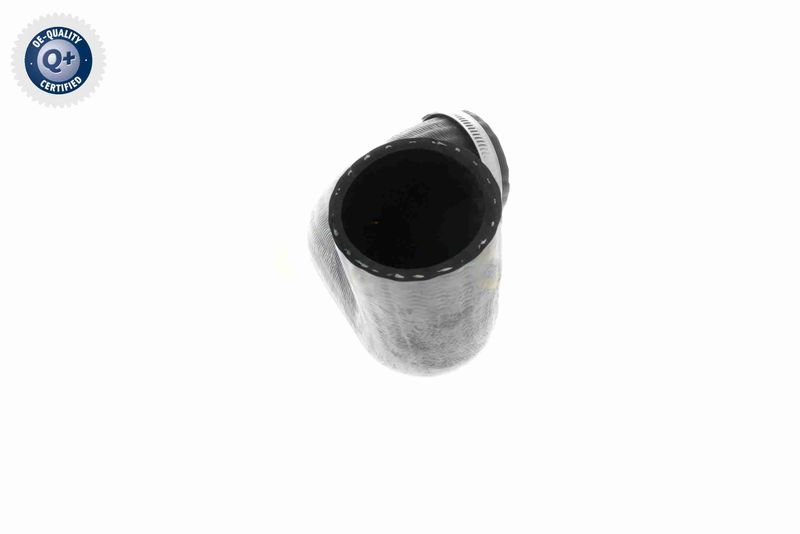 VAICO V25-1161 Charge Air Hose