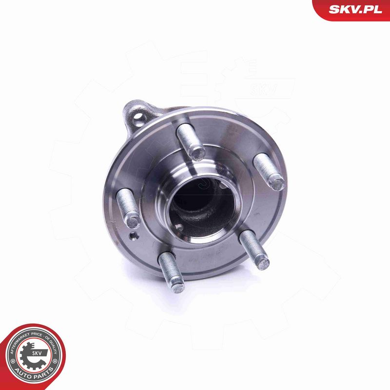 ESEN SKV 29SKV237 Rato guolio komplektas