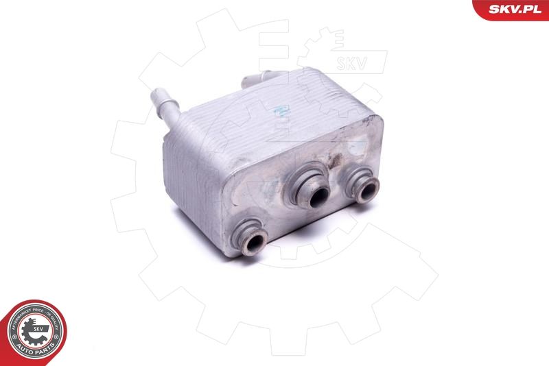 ESEN SKV 31SKV220 Oil Cooler, engine oil