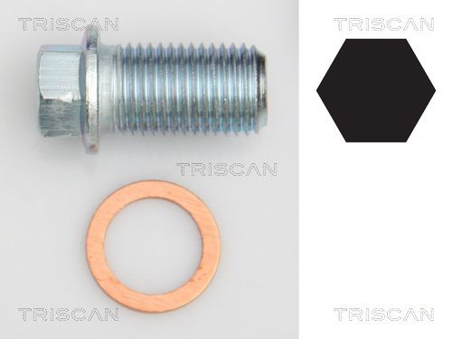 Пробка, оливний піддон, Triscan 95001012