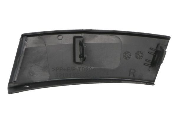 BLIC 6502-07-8178972P Trim/Protection Strip, bumper