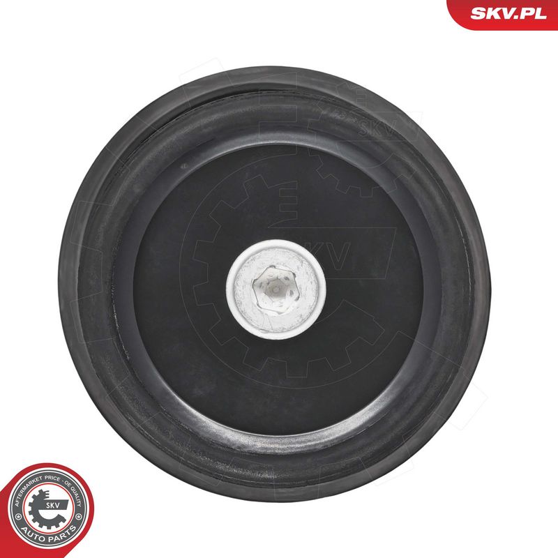 Paigutus, Mootor, ESEN SKV 75SKV239