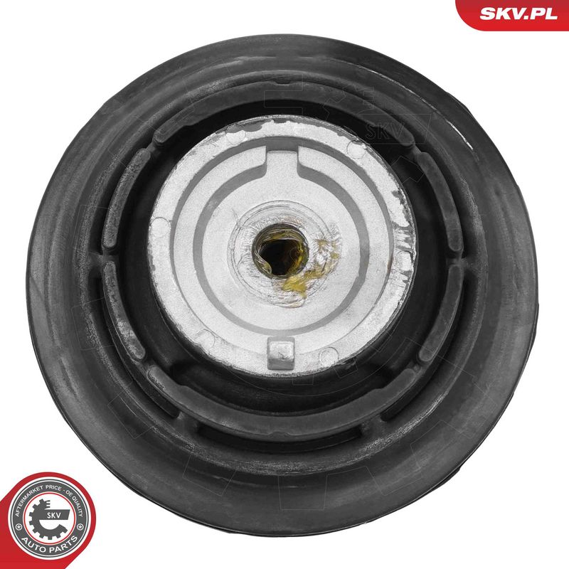 Paigutus, Mootor, ESEN SKV 75SKV006