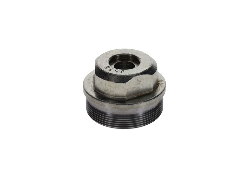 Surub F 002 D13 576 BOSCH