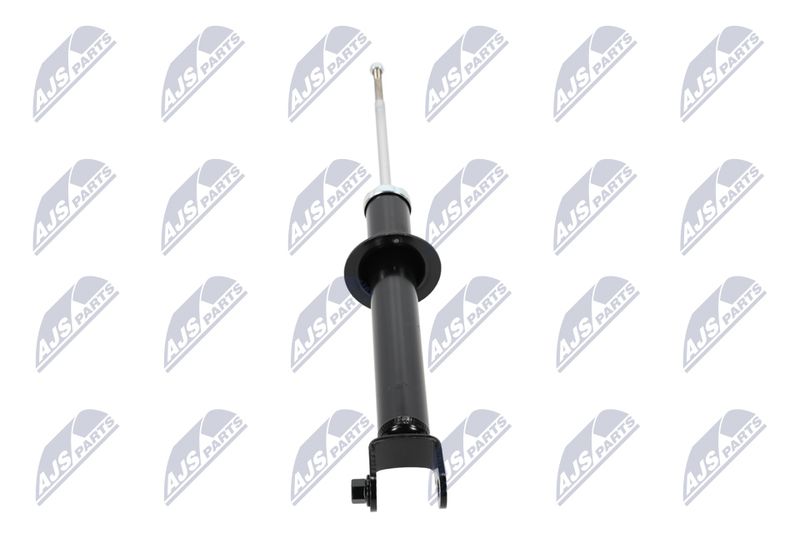 Amort, NTY A-CH-054