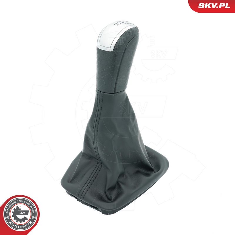 Käigukanginupp, ESEN SKV...