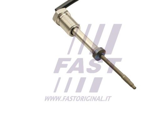 FT80229_2_1.JPG