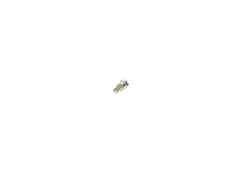 Surub 2 413 453 001 BOSCH