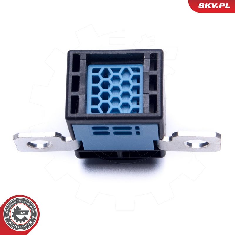 Ülepinge kaitseseade, generaator, ESEN SKV 96SKV319