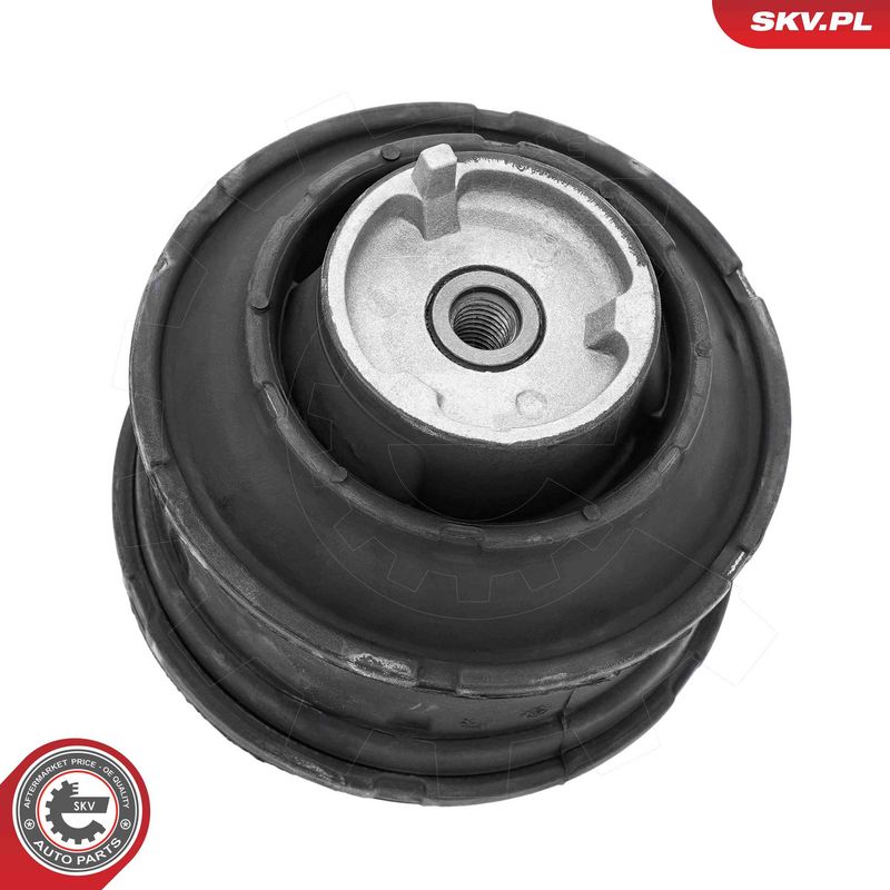 Paigutus, Mootor, ESEN SKV 75SKV132