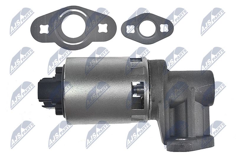 EGR-klapp, NTY EGR-CH-013