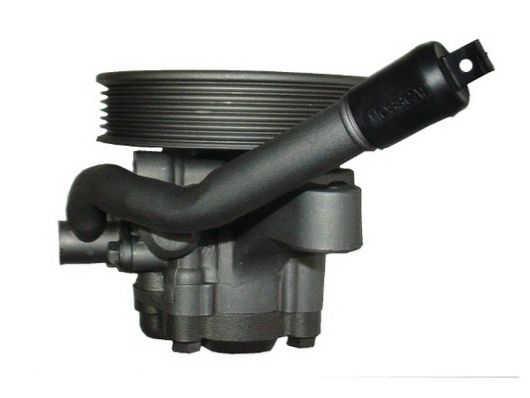 SPIDAN 54434 Hydraulic Pump, steering