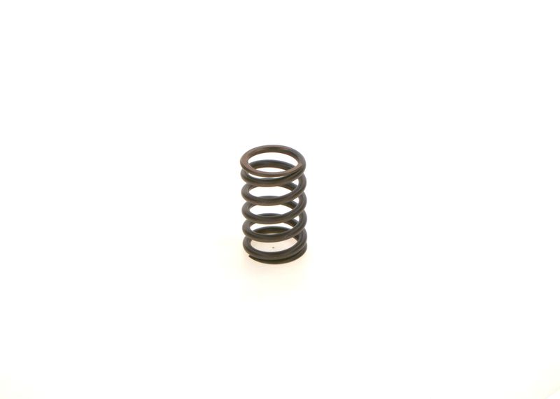 BOSCH 1414619025 Spring
