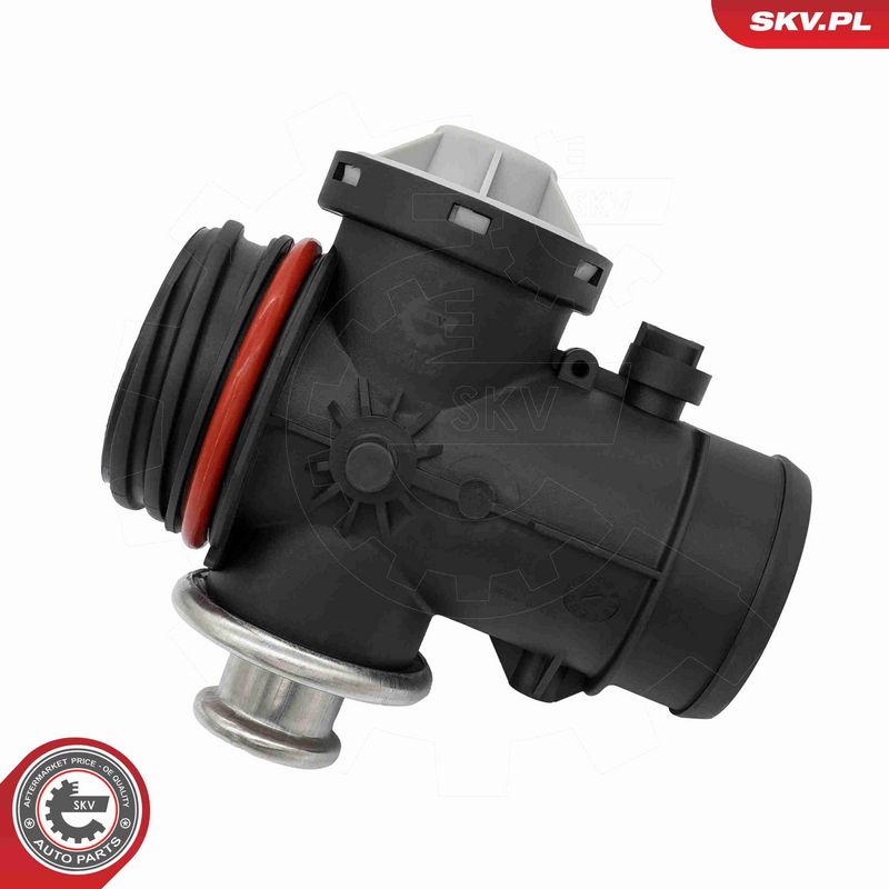 ESEN SKV 14SKV295 EGR Valve