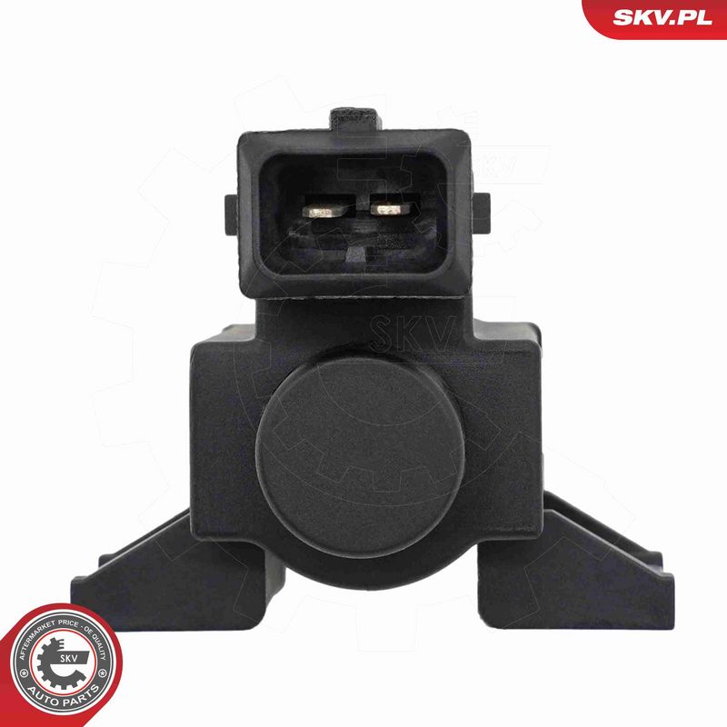 ESEN SKV 14SKV959 EGR Valve, exhaust control