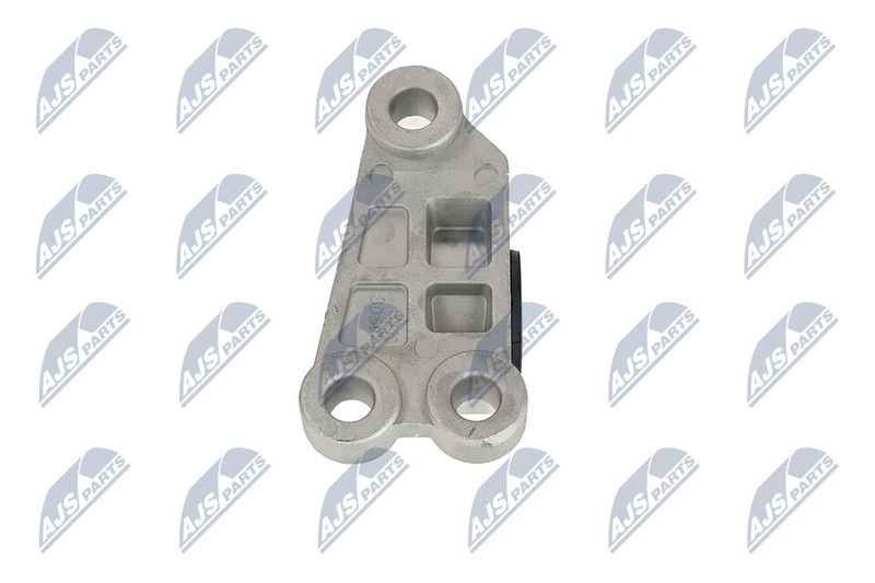 Paigutus, Mootor, NTY ZPS-CH-118