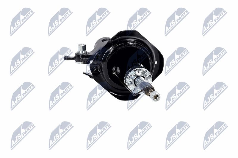 Amort, NTY A-NS-016