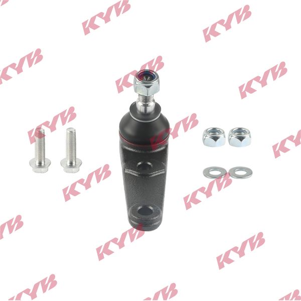 KYB-KBJ4168.JPG