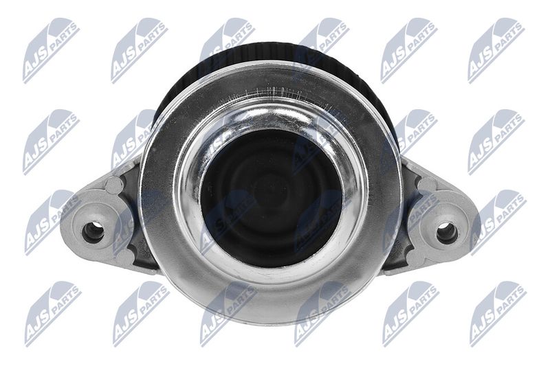 Paigutus, Mootor, NTY ZPS-ME-015