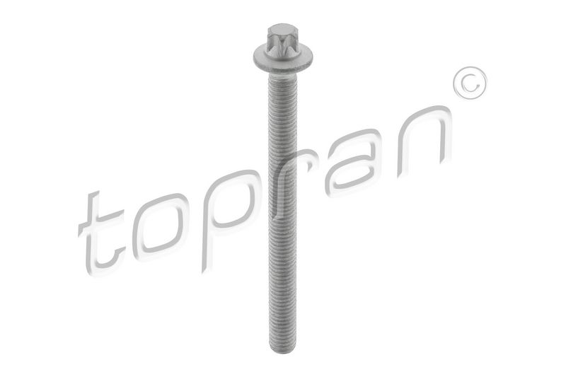 Product Skrūve, Sprauslas korpuss TOPRAN 505 061 For BMW, MINI Image