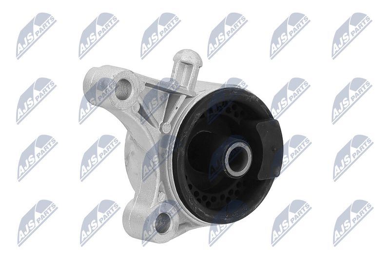Paigutus, Mootor, NTY ZPS-PL-036