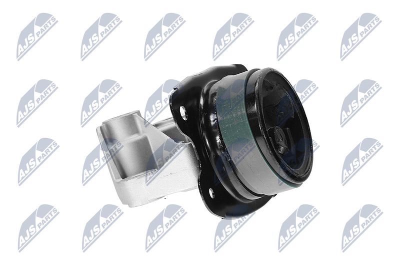 Paigutus, Mootor, NTY ZPS-CH-147