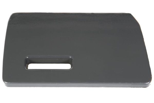 Türschwellen - Trittbrett