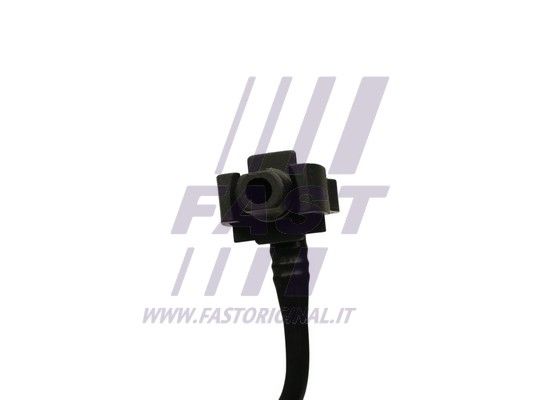 FT61696_3_1.JPG