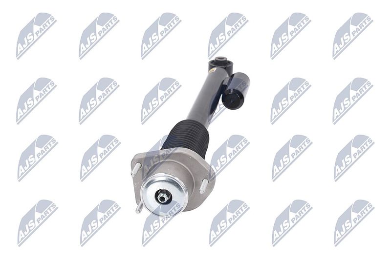 Amort, NTY A-LR-019