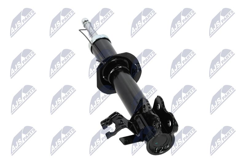Amort, NTY A-NS-008