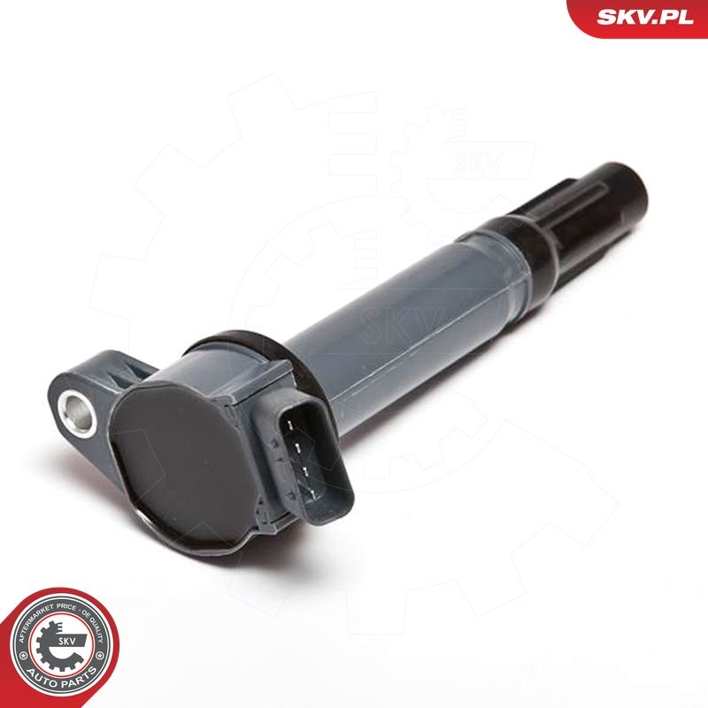 Süütepool, ESEN SKV 03SKV197