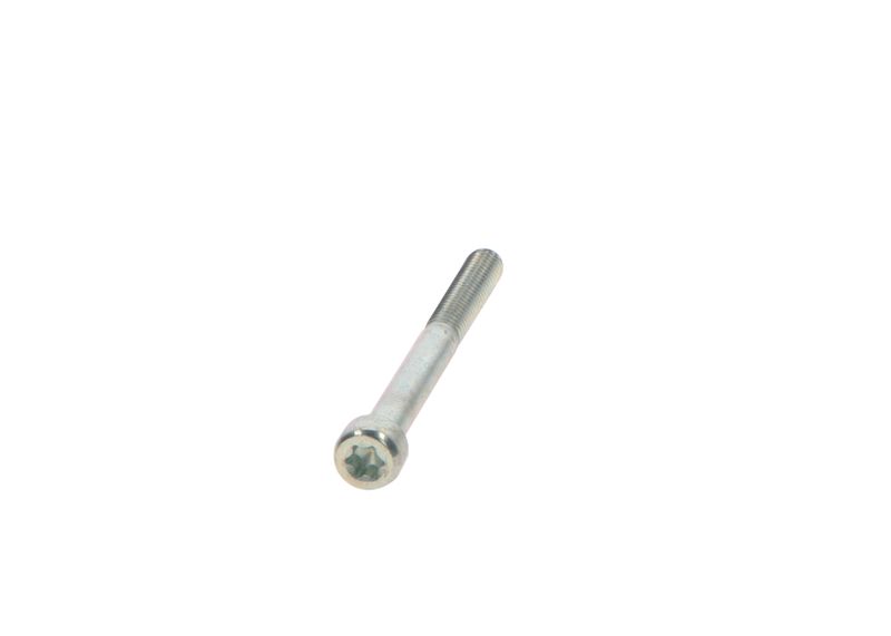 BOSCH 2469403076 Screw