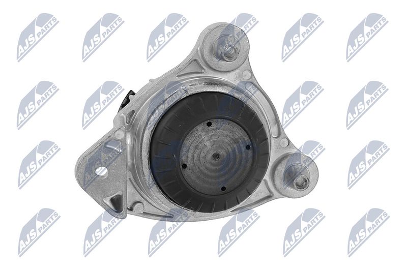 Paigutus, Mootor, NTY ZPS-ME-066