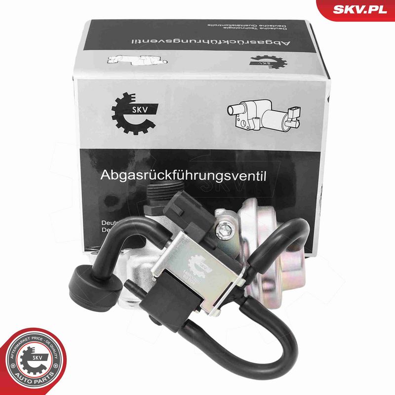 ESEN SKV 14SKV268 EGR Valve