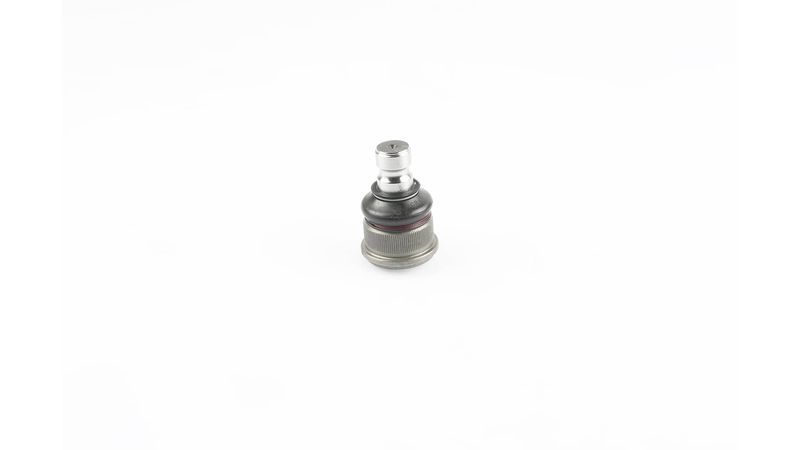 SKF VKDS 316006 Šarnyras / girgždukas