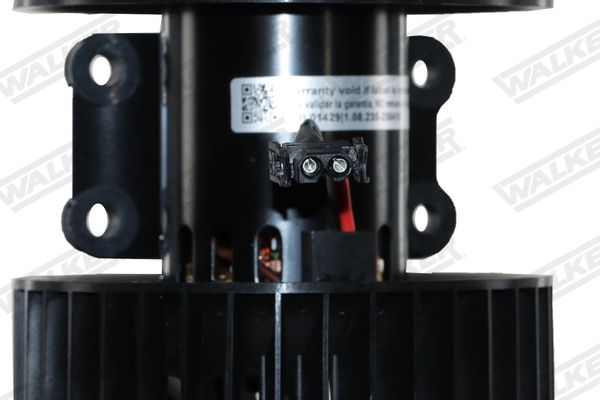 wbl01429_5352577.JPG