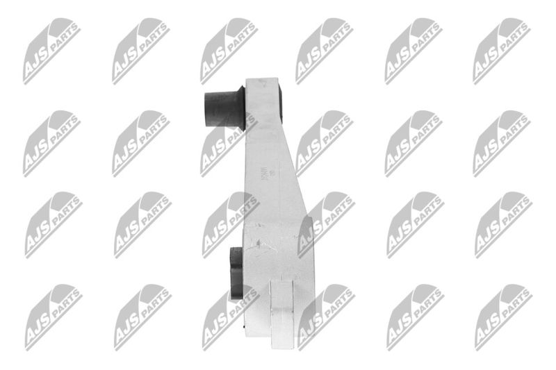 Paigutus, Mootor, NTY ZPS-CH-011