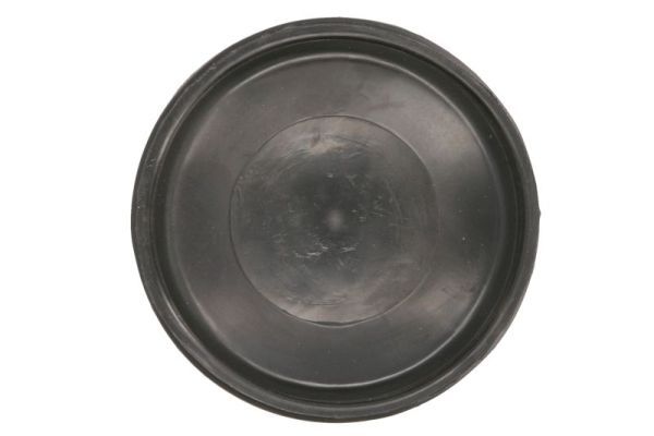 TRUCKLIGHT HR-DA002 Eyelid, headlight