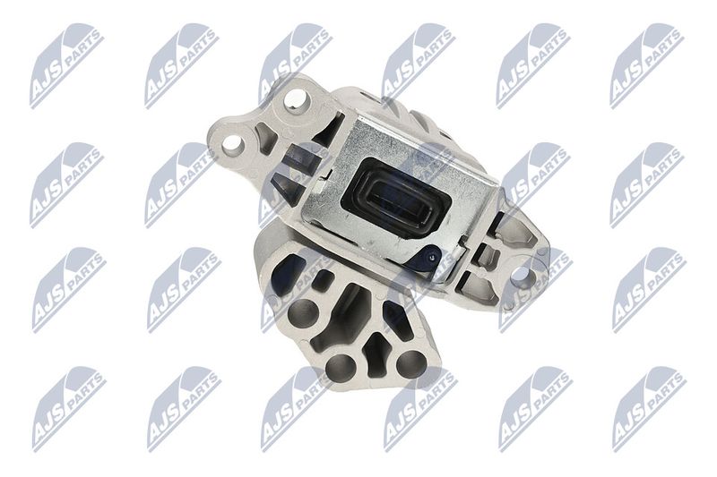 Paigutus, Mootor, NTY ZPS-CH-133