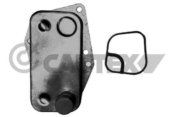 CAUTEX 201586 - Oil Cooler, Engine Oil