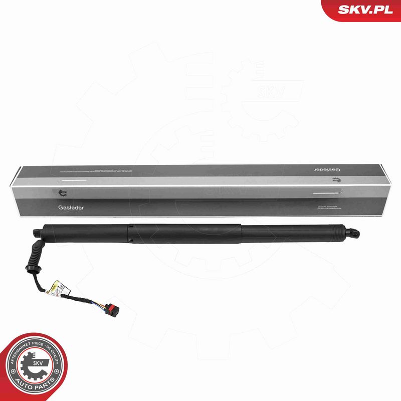 ESEN SKV 52SKV248 - Electric Motor, tailgate