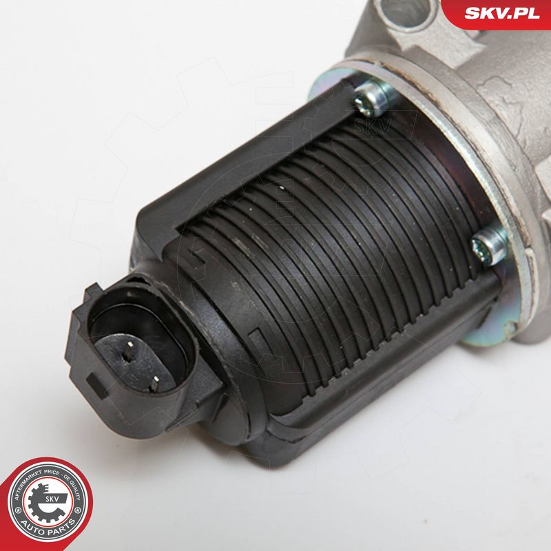 ESEN SKV 14SKV076 EGR Valve